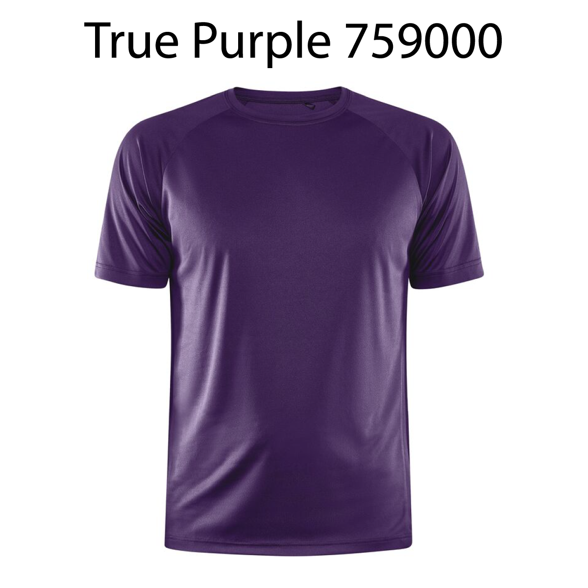 CORE_Unify_Training_Tee_M_True_Purple_759000